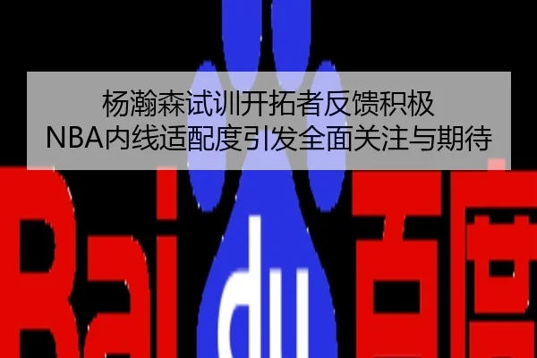 杨瀚森试训开拓者反馈积极 NBA内线适配度引发全面关注与期待